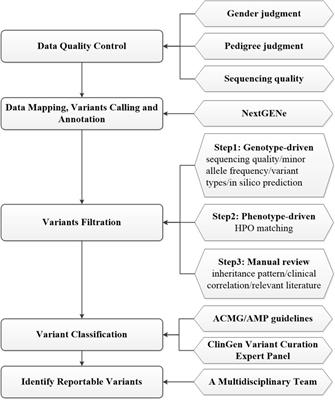 Exome sequencing in fetuses with short long bones detected by ultrasonography: A retrospective cohort study